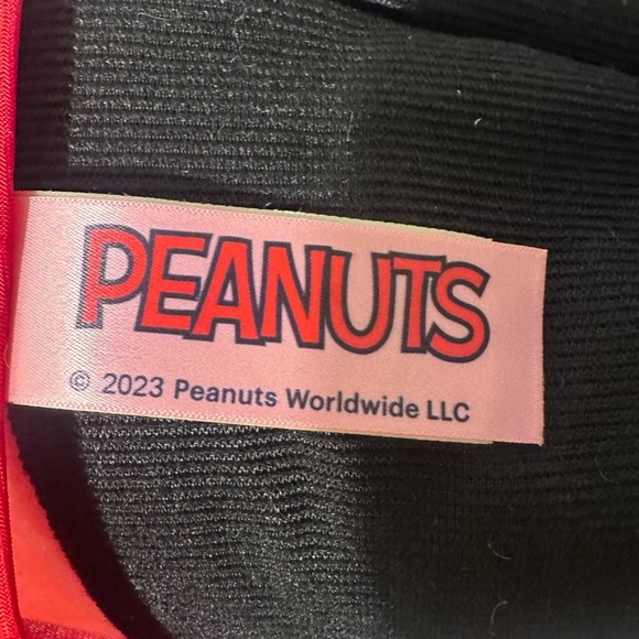 Peanuts Valentine's Day Plush Toy - Red, Black, Brown - Picture 7 of 9